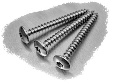 6x20 ВИНТ ПО ДЕРЕВО ГРИБКОВЫЙ ИЗ НЕРЖ. 9125(10)