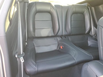 Ford Mustang VI 2024 Ford Mustang 2024 2.3l 2.3 Benzyna 315KM, zdjęcie 10