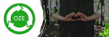 Чугунная печь 7кВт козлиный камин Blist EKONOMIK LUX