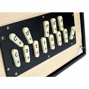 Pudełko Surpeti Shruti Thomann Nataraj Surpeti Shruti Box Fem 3