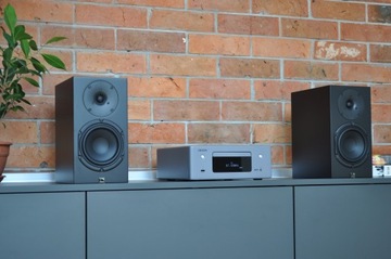 PHONAR STYLE M2 + DENON CEOL 10 ОТЛИЧНЫЙ СТЕРЕО НАБОР