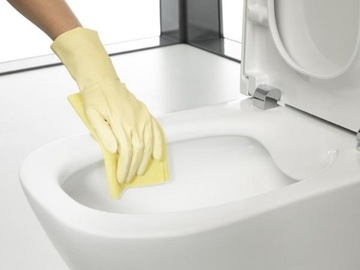 Подвесной унитаз без оправы Roca Gap