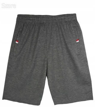 КОРОТКИЕ СПОРТИВНЫЕ ШОРТЫ МУЖСКИЕ, ЦВЕТА, молния XXL