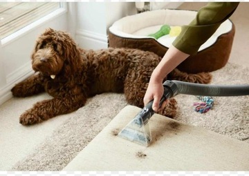 Пылесос для стирки VAX Dual Power Pet Advance