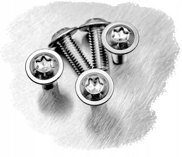 M6x30 ŚRUBA DO OWIEWEK KOŁNIERZOWA z podkładką NIERDZEWNA 7380F TORX (10)