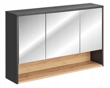 СЕКЦИЯ НАРУЖНАЯ И WWT