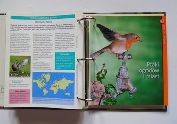 PTAKI POLSKI Издания Атлас