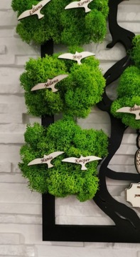 Бонсай дерево мох конец года птицы сова день учителя 37х24