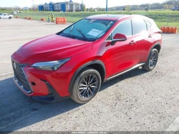 Lexus NX II 2024 Lexus NX 2024r., 4x4, 2.5L 2.5 Hybryda 189KM, zdjęcie 1