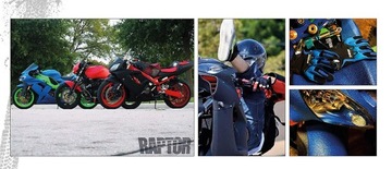 U-POL RAPTOR защитное средство для окраски + 100мл RAL