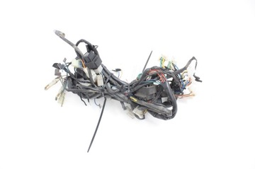 WIĄZKA ELEKTRYCZNA Aprilia Pegaso 650 97-00
