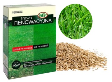 MIESZANKA TRAW TRAWA RENOWACYJNA 0,9kg 40m2