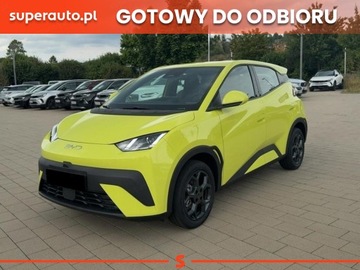 BYD 2025 BYD Dolphin Surf Boost Hatchback (88 KM) 2025