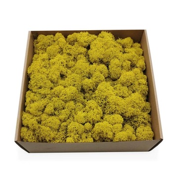 250g netto MECH CHROBOTEK reniferowy OCZYSZCZONY