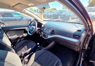 Kia Picanto II Hatchback 3d Facelifting 1.0 LPGi  67KM 2016 Kia Picanto 1,0 Ben Serwis Benzyna 66KM, zdjęcie 10