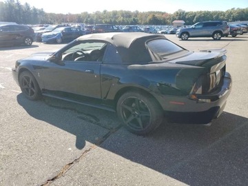 Ford Mustang IV 1999 Ford Mustang Cobra Svt 1999 4.6l 4.6 Benzyna 320KM, zdjęcie 1