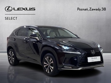 Lexus NX I SUV Facelifting 300 238KM 2021 Lexus NX 300 F Impression AWD I (2014-2021) Lexus, zdjęcie 7