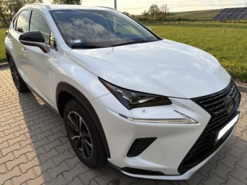 Lexus NX I SUV Facelifting 300 238KM 2021 LEXUS NX 300 F Impression 4x4 E-FOUR | Polski Salon | Biała perła | JakNOWY, zdjęcie 6
