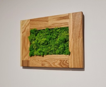 Картина мох Кработек Дубовая рама Картина из мха