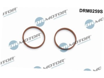 DR.MOTOR DRM0259S SADA TĚSNĚNÍ KOLEKTOR NASÁVÁCÍ