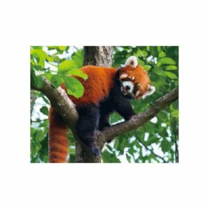 MAGNES 3D TRÓJWYMIAROWY PANDA CZERWONA 2931