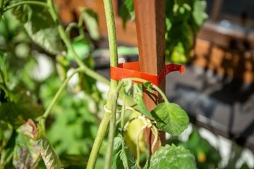 Устройство для подвязывания растений, комплект Verto