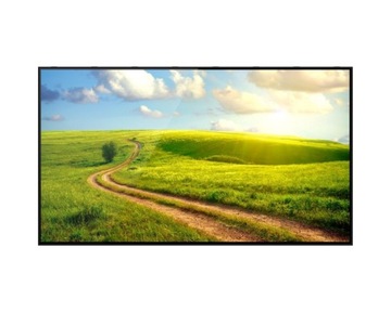 Monitor reklamowy wewnętrzny 50″
