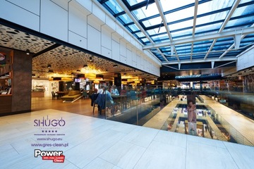 Чистка брусчатки, клинкерной плитки 5л.