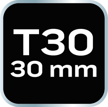Биты TORX T30 x 30 мм, S2 x 2 шт.