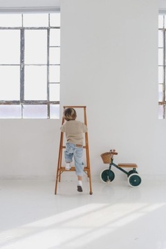 Banwood Trike Темно-Зеленый