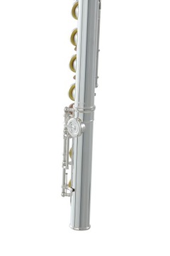 Поперечная флейта Roy Benson FL-602E