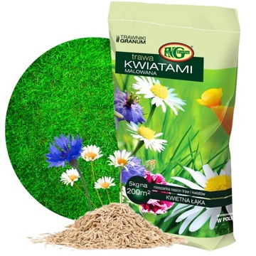 TRAWA NASIONA ŁĄKA KWIETNA Trawnik KWIATOWY 5 kg MIX KWIATY MIODODAJNE