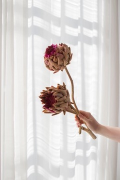 Сушеный АРТИШОК ЦВЕТОК артишок сушеный в вазе