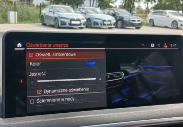 BMW X4 G02 SUV Facelifting 2.0 30i 245KM 2022 BMW X4 xDrive30i M Sport M Sport Aero LED Panorama Ambiente Kamera 2.0, zdjęcie 16