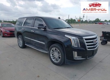 Cadillac Escalade III 2019 Cadillac Escalade 2019, 6.2L, 4x4, po gradobiciu