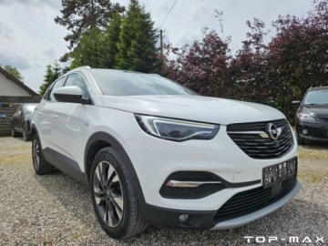Opel 2019 Opel Grandland X Full Opcja 2.0 CDTI Automat 2.0 Diesel 177KM, zdjęcie 2