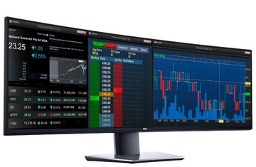 Monitor 49 DELL UltraSharp U4919DW 32:9 5120 x 1440 49