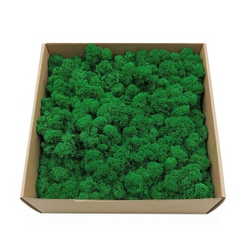 250g netto MECH CHROBOTEK reniferowy OCZYSZCZONY