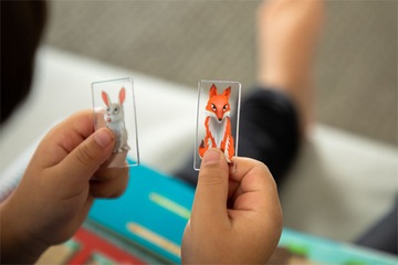 RABBIT HOLE Smart Games игра-головоломка