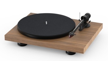 PRO-JECT DEBUT CARBON EVO 2M-RED WALNUT
