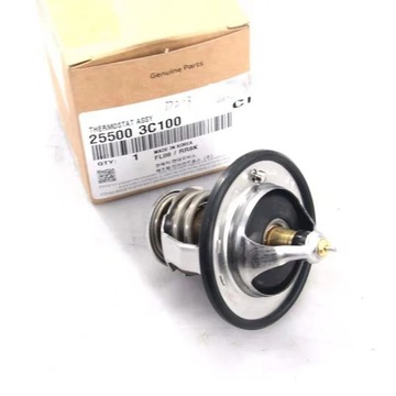 NOVÝ TERMOSTAT OEM 25500-3C100 PRO HYUNDAI VERACRUZ IX55 2007 2008~18780