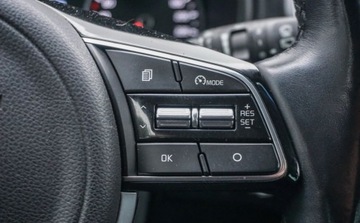 Kia Sportage IV SUV Facelifting 1.6 T-GDI 177KM 2021 Kia Sportage 1.6T-GDI 177KM Black Edition DCT Kamera Navi Grzane fotele ki, zdjęcie 24