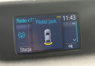 Ford Ecosport II SUV 1.0 Ecoboost 125KM 2016 Ford EcoSport 1.0 EcoBoost 125KM Skora OPLACONY Klimatronic Niski Prze, zdjęcie 2
