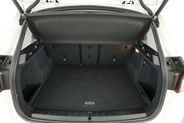 BMW X1 F48 Crossover sDrive20i 192KM 2018 BMW X1 sDrive20i, Serwis ASO, Automat, Navi, zdjęcie 10