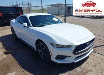 Ford Mustang VI 2024 Ford Mustang Ecoboost Premium Fastback 2024 2.3l 2.3 Benzyna 315KM