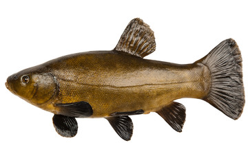 Кормушка osmo pro метод темная гранула 2мм 1кг прикормка