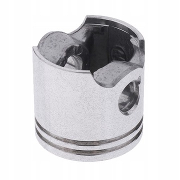 Поршневые кольца 35 мм. Уличные растения