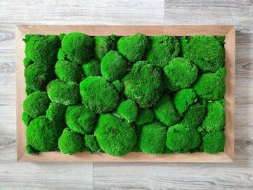 Картина в дубовой раме с мховыми подушками, 80х50.