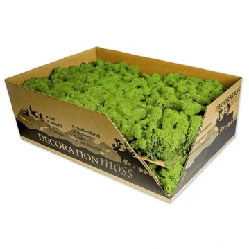 MECH CHROBOTEK Oryginalny JASNA ZIELEŃ - 2,5kg