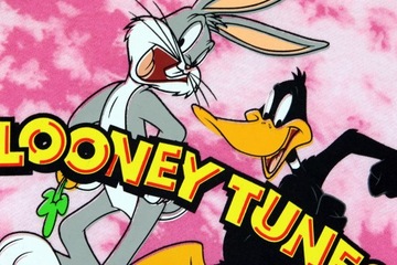 Looney Tunes Zwariowane Melodie Bluza Tunika r. M